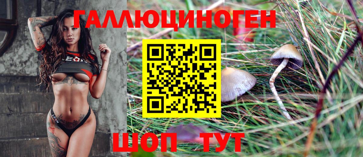 Галлюциногенные грибы Magic Shrooms  Вход с VPN  Галлюциногенные грибы ЛСД  купить закладку  Ростов-на-Дону 